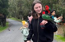 Great Ocean road bus tour with many stops and a forest walk