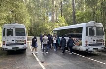 Great Ocean Road bus tour with a forest walk