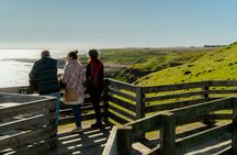 Phillip Island Wildlife and Brighton Beach Boxes private car tour