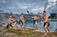 Hells Gate and Te Puia Geothermal Valley Experience