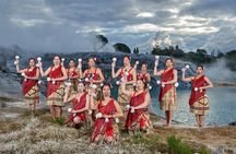 Hells Gate and Te Puia Geothermal Valley Experience