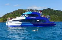 Small group day tour to Bay of Islands from Auckland