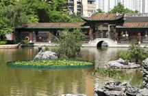 Guangdong Shunde Food Tour from Guangzhou