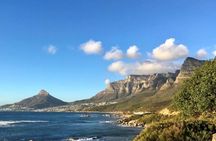 Marine Wildlife Boat Cruise and Cape Peninsula Tour