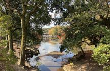 Japanese Cultural Tour Including Photo-Videographer