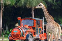 Entrance Ticket to the Chimelong Safari Park in Guangzhou