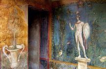 Pompeii Admission and Guided Tour with an Expert Historian