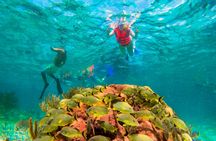 Snorkelling Adventure in Marine National Park with Beachside Lunch