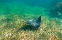 Snorkelling Adventure in Marine National Park with Beachside Lunch