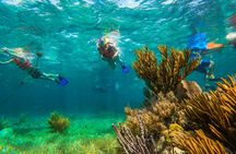 Cancún Adventure Tour with ATV, Zip Lines, Cenote and Reef Snorkelling