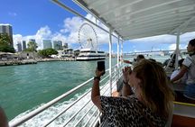 South Beach millionaire homes cruise with meal at Hard Rock Cafe