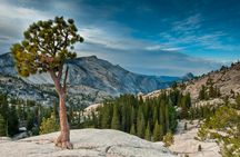 Yosemite National Park Self-Guided Driving Audio Tour
