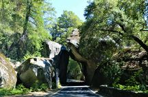 Yosemite National Park Self-Guided Driving Audio Tour