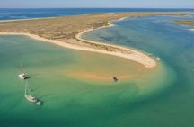 Deserta and Farol islands boat trip from Faro