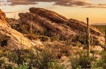 Saguaro National Park Self-Guided Driving Audio Tour