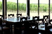 Tasting and Lunch at Bodega Pizzorno in Montevideo