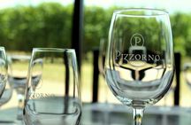Tasting and Lunch at Bodega Pizzorno in Montevideo