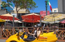 Harbor and Gaslamp Quarter San Diego GoCar tour