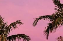 Scenic Miami night tour with Skyview Miami Wheel tickets
