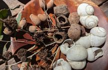 Private Foraging for an Outback Feast and Scenic Tour in Darwin