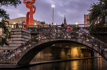 Scenic San Antonio guided night tour