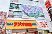 Akihabara Subculture and Shibuya Street Kart Tour in Tokyo