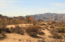 Audio-Guided Driving of the Joshua Tree National Park