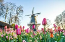 Dutch countryside and Keukenhof Gardens full-day tour from Antwerp