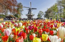 Dutch countryside and Keukenhof Gardens full-day tour from Antwerp