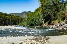 Audio-Guided Driving Tour through Olympic National Park