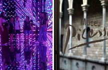 Picasso and Moco Museum guided tour