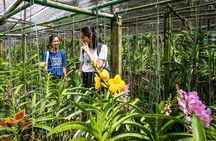 Bangkok Floating Market and Orchid Farm Tour with Boat Ride