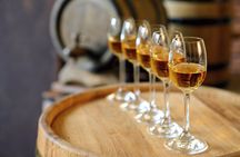 Évora wine tour from Lisbon