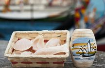 Aveiro guided tour from Porto