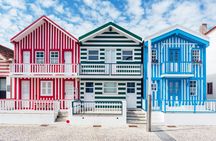 Aveiro guided tour from Porto
