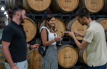 Guided tour of the Douro with river cruise and wine estates' visit
