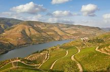 Guided tour of the Douro with river cruise and wine estates' visit