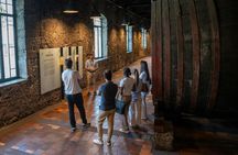 Half-day guided tour of Porto with 6 bridges' cruise and wine tasting