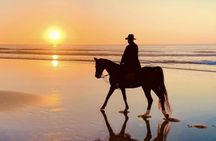 Guided Horseback Riding Experience on Essaouira's Dunes