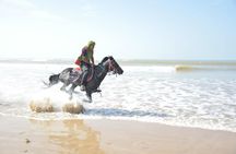 Guided Horseback Riding Experience on Essaouira's Dunes
