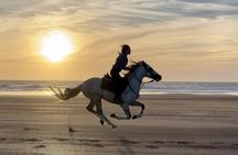 Guided Horseback Riding Experience on Essaouira's Dunes