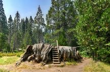 Audio-Guided Driving Tour to Sequoia & Kings Canyon