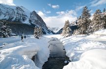 Lake Louise and Johnston Canyon Tour