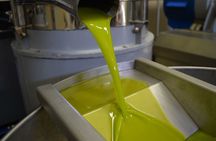 Villa Castelli Guided Walking Tour with Olive Oil Tasting