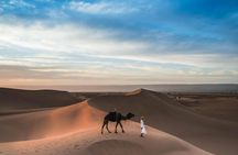 Paradise Valley Half-Day Trip from Agadir with Camel Ride and Lunch
