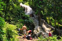 Chiang Mai Highlights Full-Day Guided Tour with Pickup