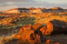 Self-Guided Driving Tour of Petrified Forest National Park