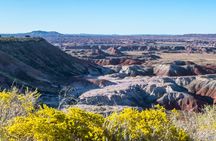 Self-Guided Driving Tour of Petrified Forest National Park