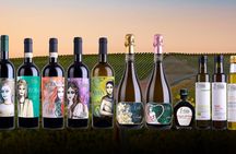 Agricola Poggio ai Laghi Tasting of Wines, Oils and Vinegars