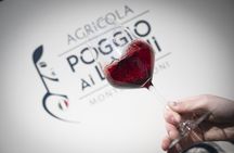 Agricola Poggio ai Laghi Tasting of Wines, Oils and Vinegars